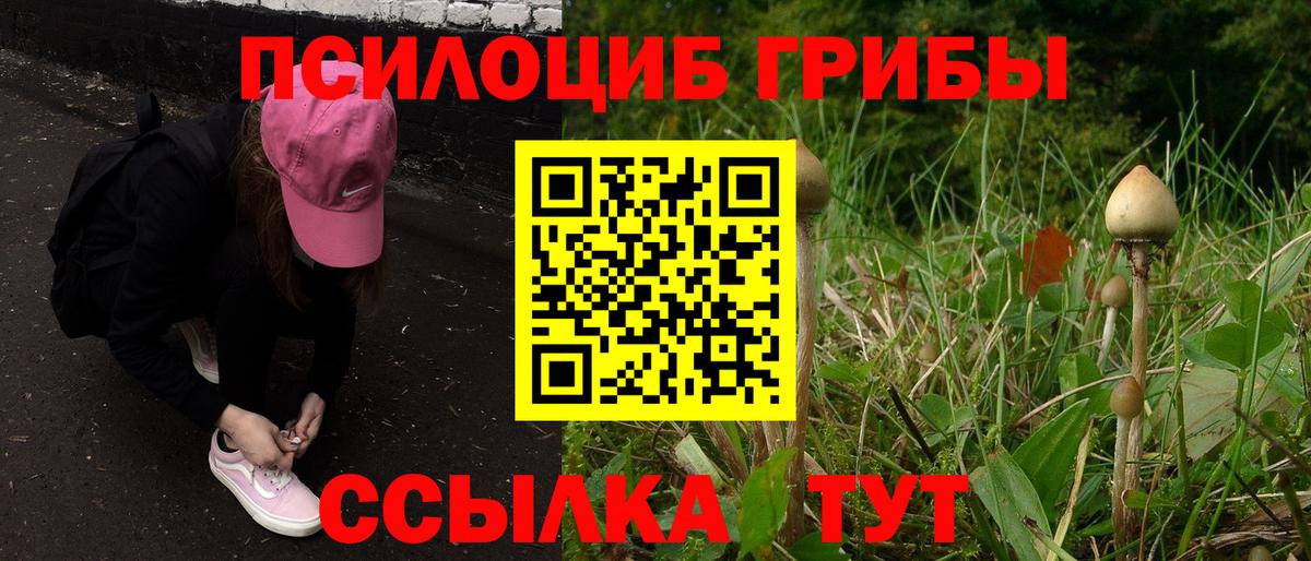 Лысьва  Галлюциногенные грибы ЛСД  наркота  Вход с VPN 
