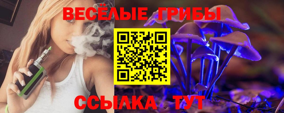 Псилоцибиновые грибы мицелий Лысьва